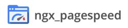 Pagespeed logo