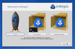 Antergos installer options