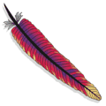 Apache feather