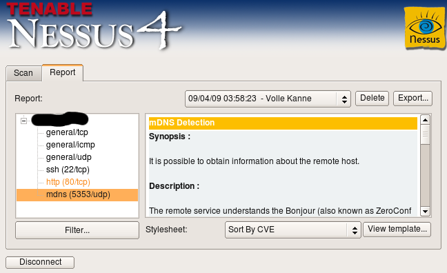 The Nessus 4 report interface.