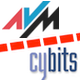 AVMvsCybits icon
