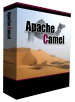 Apache Camel "box"
