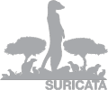 Suricata logo