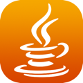 Java security logo